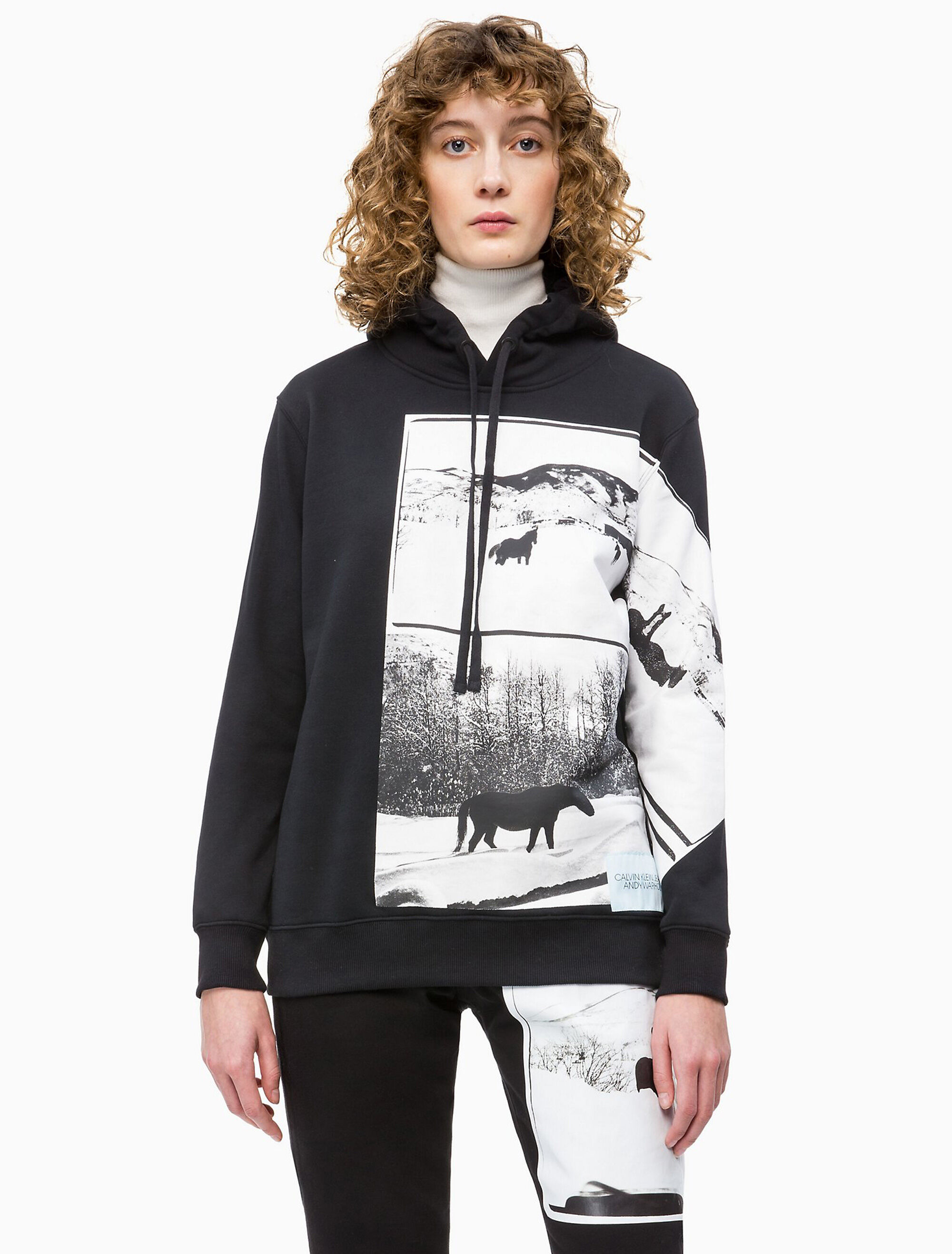 calvin klein warhol hoodie