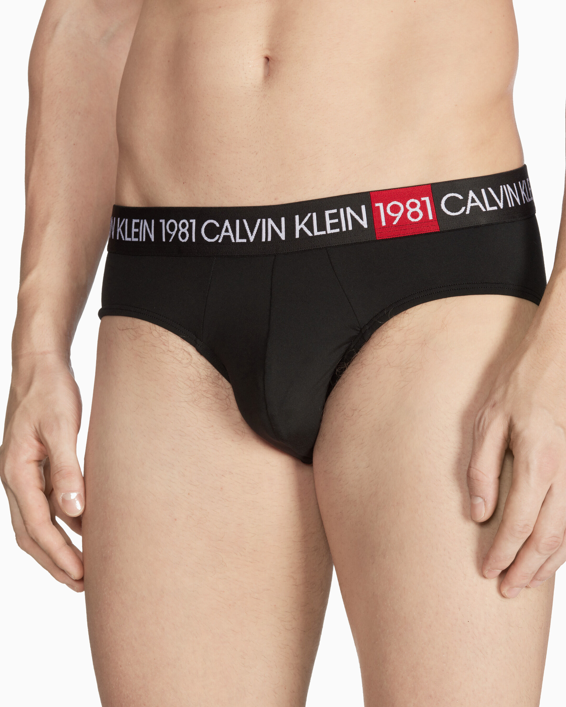 Calvin klein 1981 briefs clearance